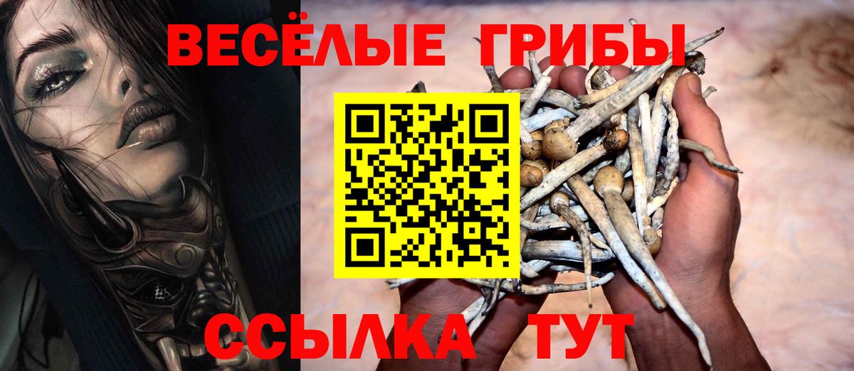 наркотики  Псилоцибиновые грибы Psilocybe  Кириши  Вход с VPN  Галлюциногенные грибы прущие грибы 