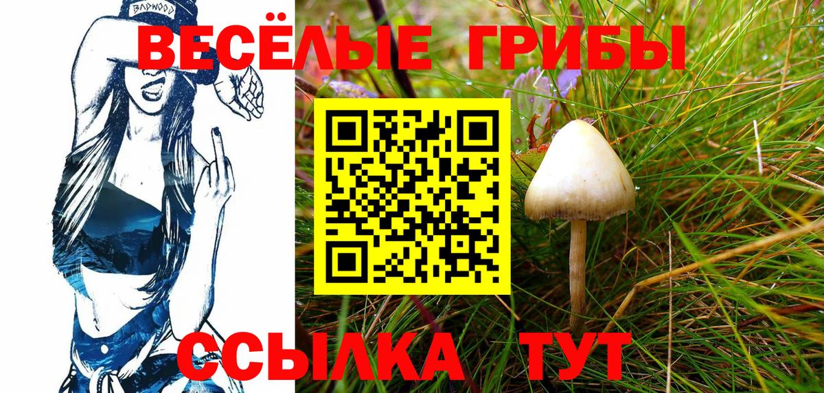 Галлюциногенные грибы ЛСД Кириши