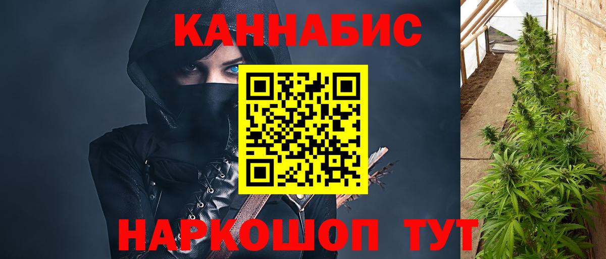 Бошки Шишки семена Кириши